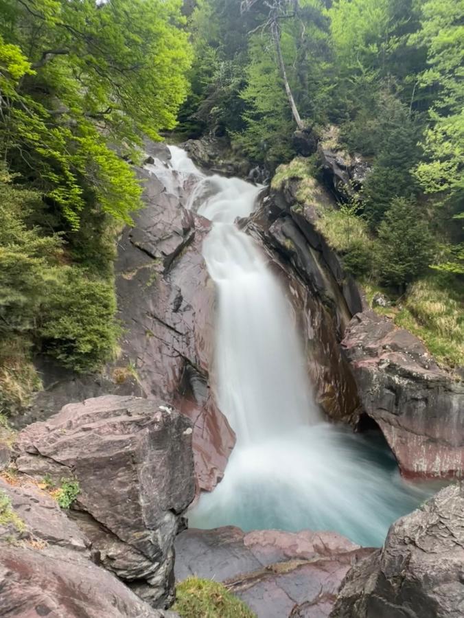 Apartamento Acogedor Pineta Bielsa Buitenkant foto